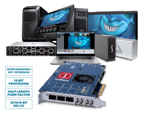 blue fish smart card|SDI Video Cards For Video Editing & Production .